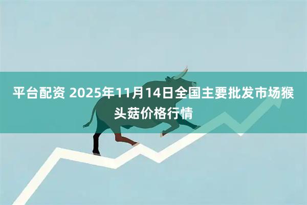 平台配资 2025年11月14日全国主要批发市场猴头菇价格行情